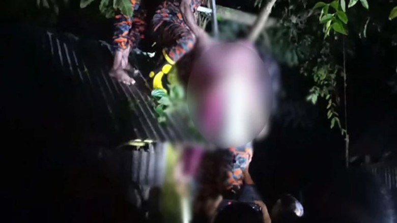 কুড়িগ্রামে গাছের মগডালে উঠে অচেতন নারী