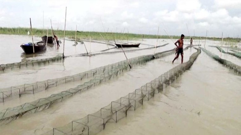 নিষিদ্ধ জালের দৌরাত্ম্যে ঠাকুরগাঁওয়ে হারিয়ে যাচ্ছে দেশি মাছ