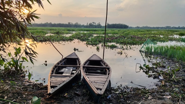 পানি প্রবাহ বন্ধে বদলে গেছে বাফলার বিলের চিত্র, দুর্ভোগে কৃষক-জেলে