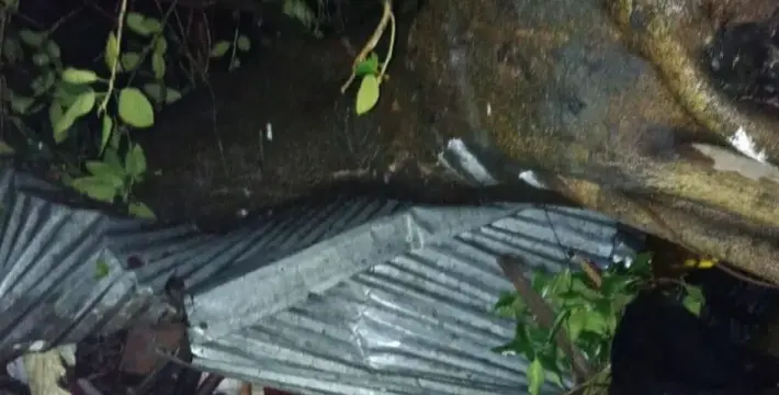 [গোবিন্দগঞ্জে ঝড়ের রাতে বটগাছ ভেঙে স্ত্রীর মৃত্যু,অল্পের জন্য বেঁচে গেলেন স্বামী]